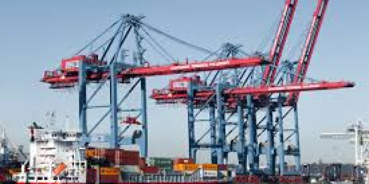 How Do Other CBP Ecommerce Compliance Platforms Compare to Each Other for International Shipping