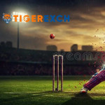 Tiger 365id09 Profile Picture