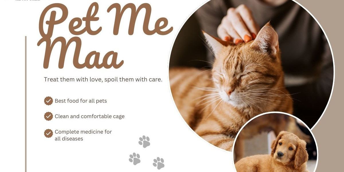 Book Doggy Daycare Near Me and Let Your Dog Enjoy Every Day