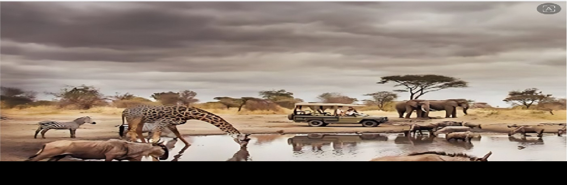 Kiware Africa Safaris Cover Image