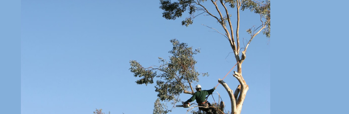 elkgrovetreeservice Cover Image