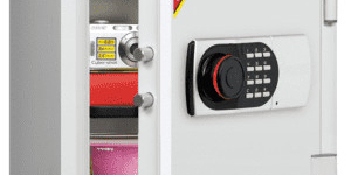 10 Reasons Why a Biometric Safe Is the Best Choice for Home Security
