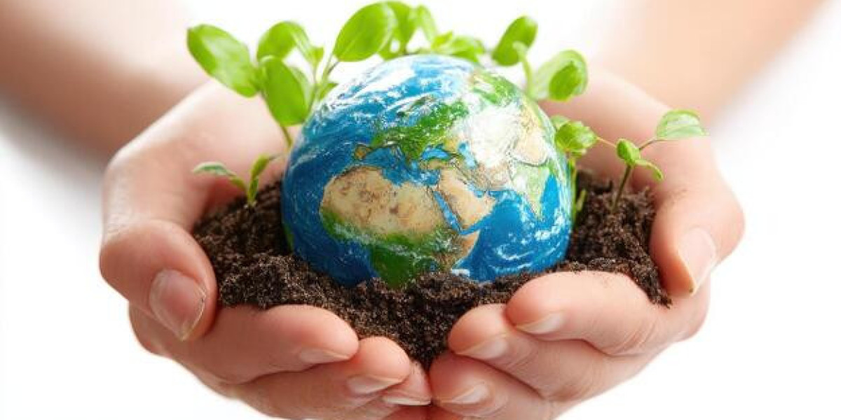 Environmental Health Tips for a Safer and Cleaner Life