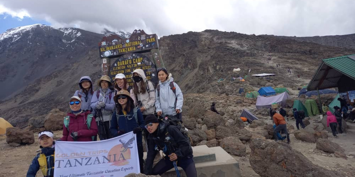 Reach New Heights with Kilimanjaro Tanzania Tours – Your Ultimate Adventure Awaits