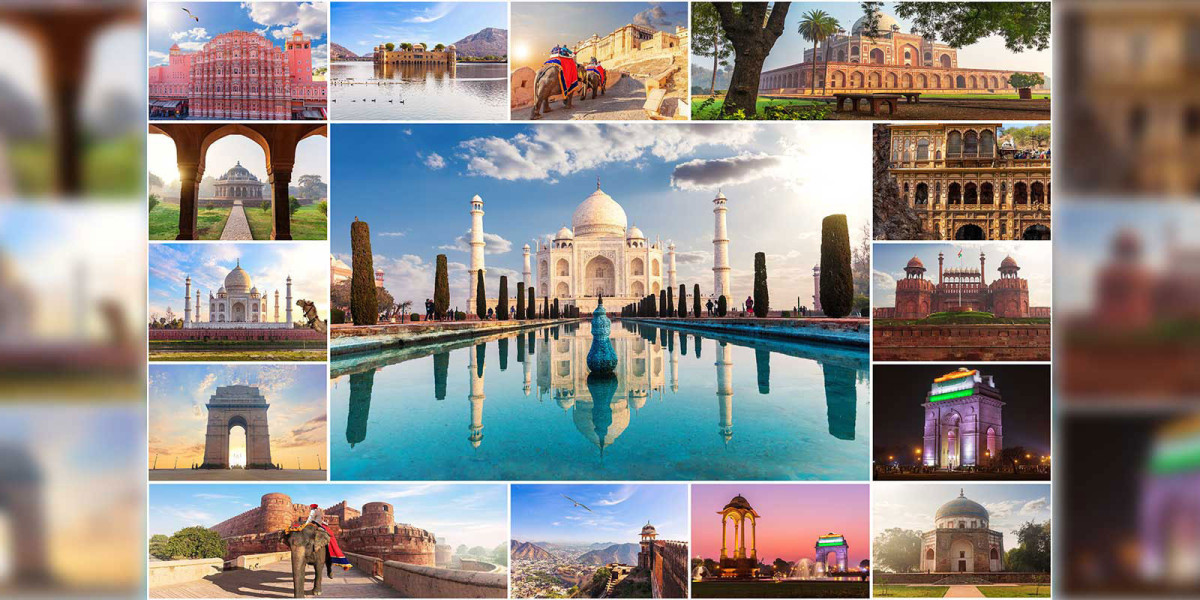 From Tiger Safaris to Snow Leopards: India’s Elite Wildlife Escapes