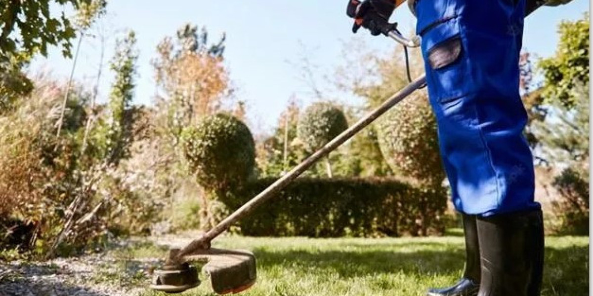 Professional Garden Maintenance Matraville for a Beautiful Outdoor Space