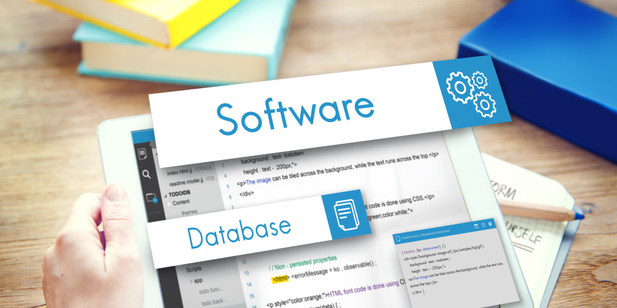 Custom Software for Smarter Enterprise Decisions