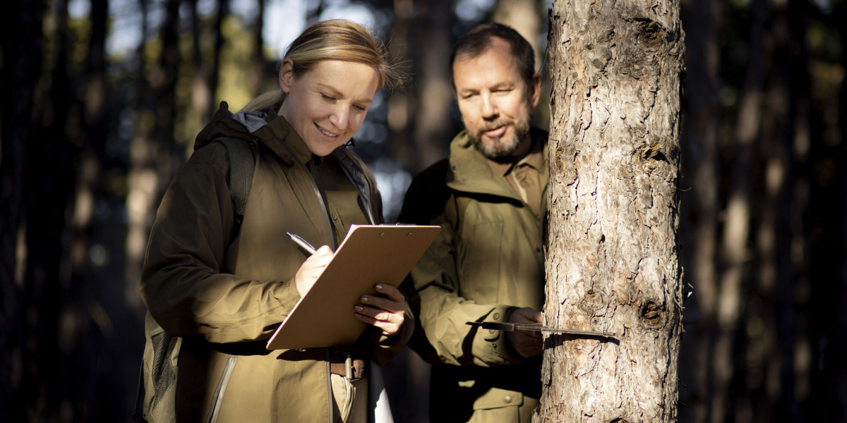 Vermont Forest Agency: Roles, Responsibilities, and Forest Stewardship