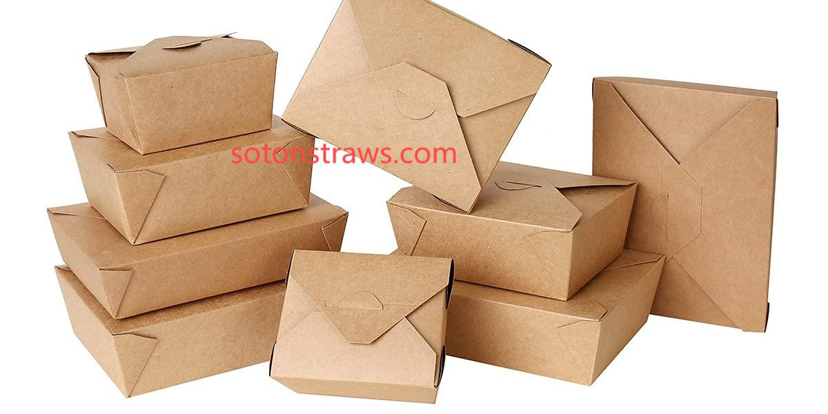 Soton Delivers Sustainable Disposable Kraft Box Innovations