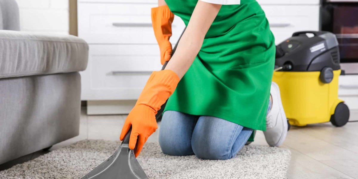 Top Reasons to Choose House Carpet Cleaning Services Near Me for a Spotless Home