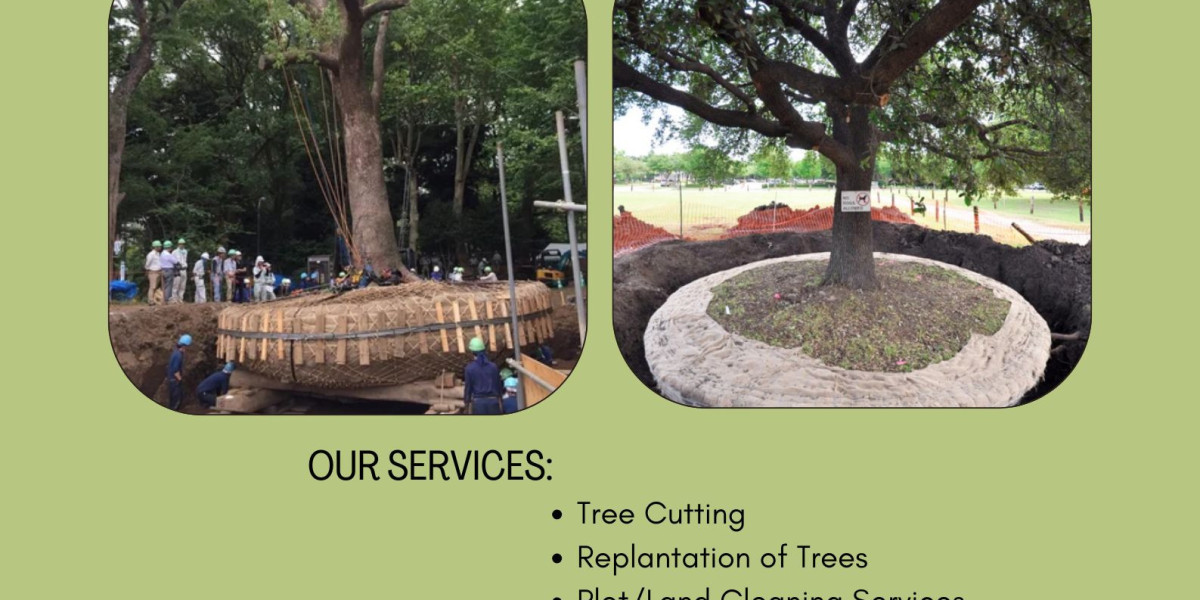 Tree Replantation Services in Hyderabad