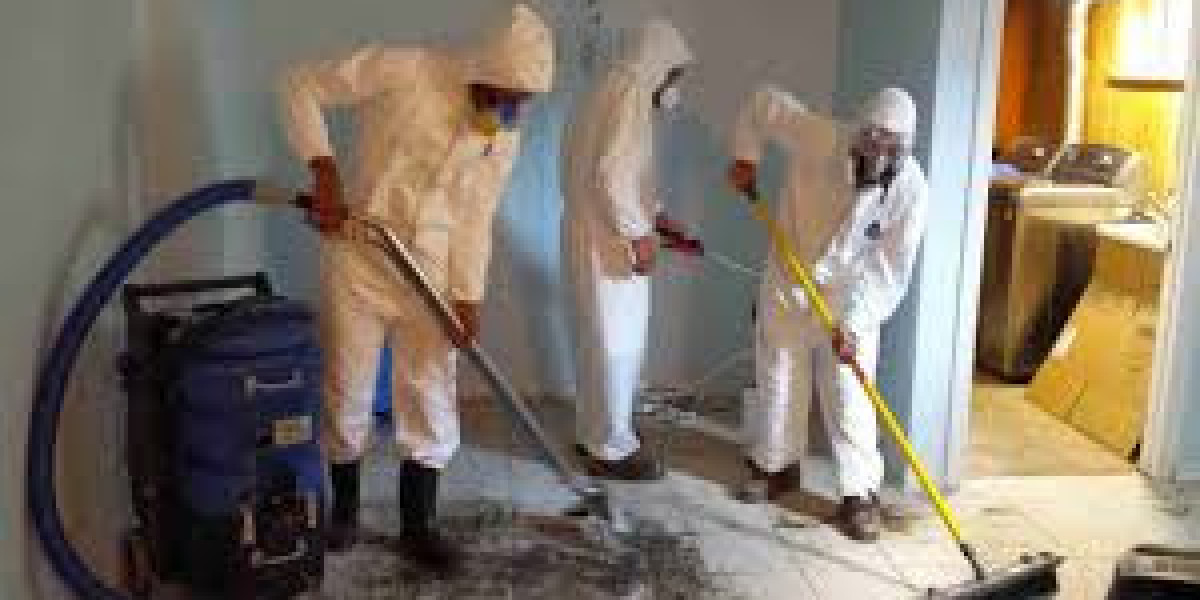 Basement Flood Cleanup: A Complete Guide to Restoring Your Home Safely