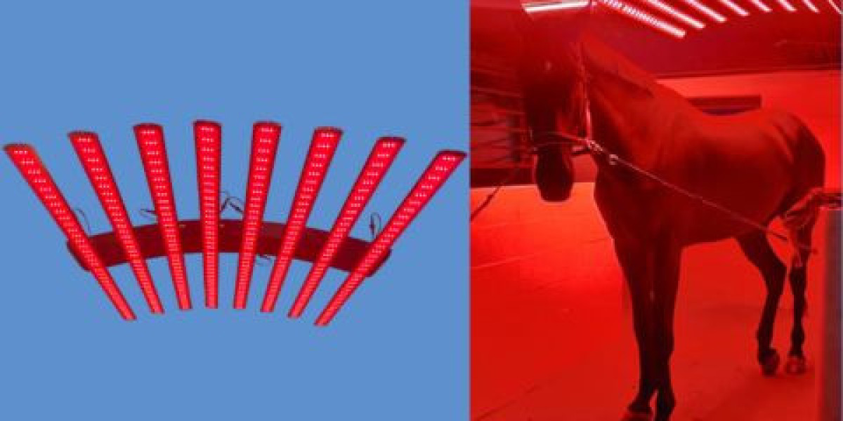 Elevate Equine Health and Performance with Advanced Equine Light Therapy