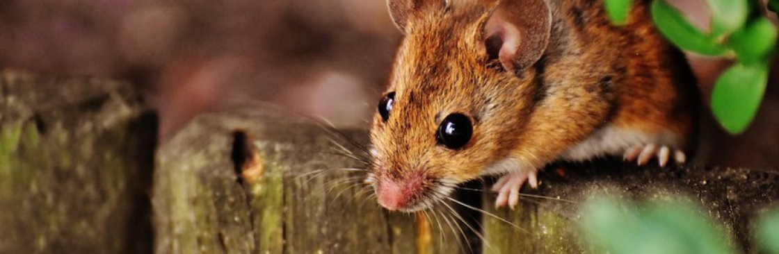 envirosafe pestcontrol Cover Image