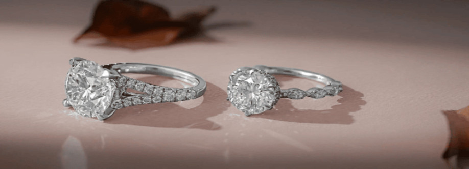 Dvik Jewels Cover Image