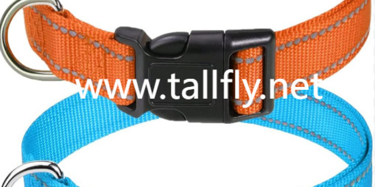 Why Does Your Dog's Collar Say More About You Than Your Outfit?