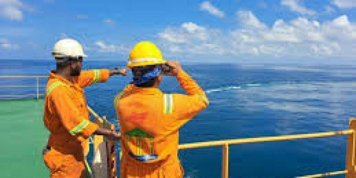Who Needs Environmental Compliance Audits Services the Most?
