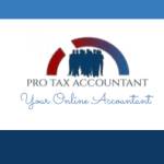 Pro Tax Accountant Profile Picture
