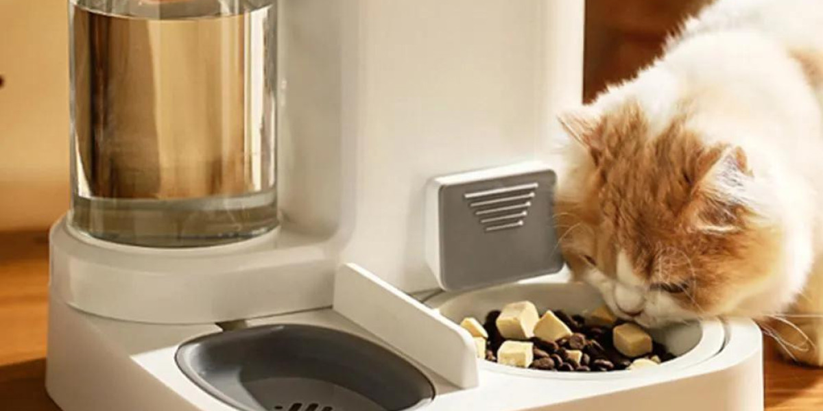 How Pawtechpet Intelligent Pet Food Dispenser Supports Weight Management