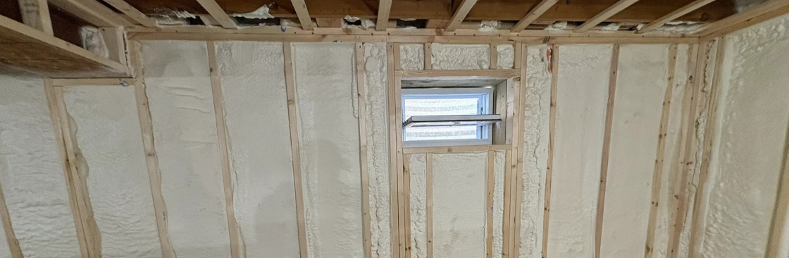 South Chicago Insulation Cover Image