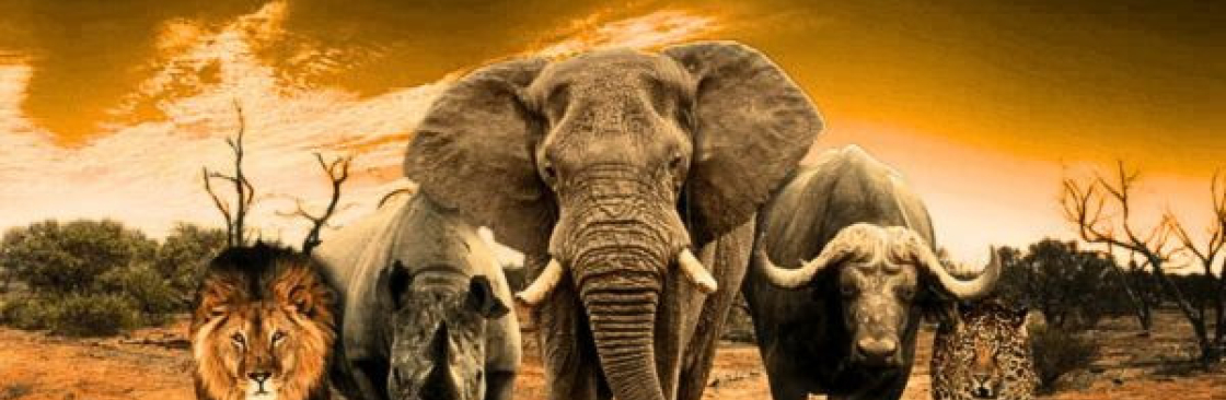 Duma Tours Travels Cover Image