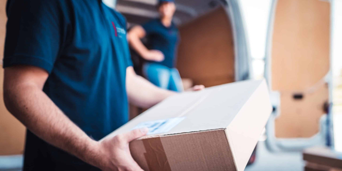What are the Popular Domestic Courier Services in India?