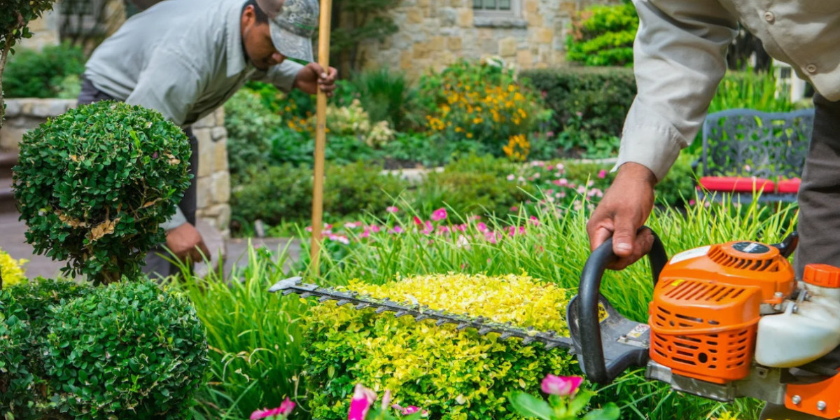 Landscaping Services DFW for Beautiful Outdoor Spaces