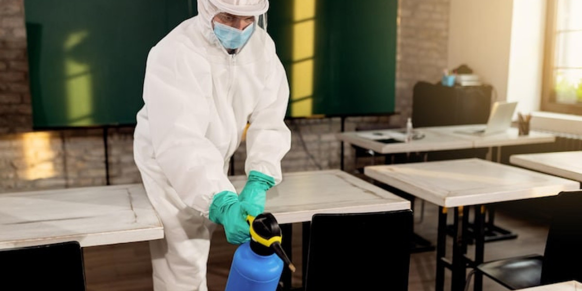 How Experts Conduct Pest Control Services In Boise, ID Property Inspections