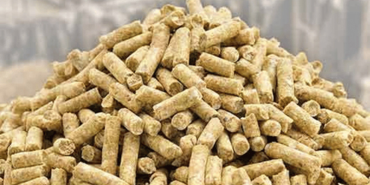 Europe Feed Protein Market Share, Report and Forecast 2026–2035