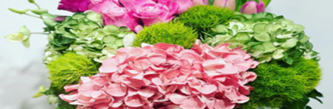Mathews Camroon Cover Image