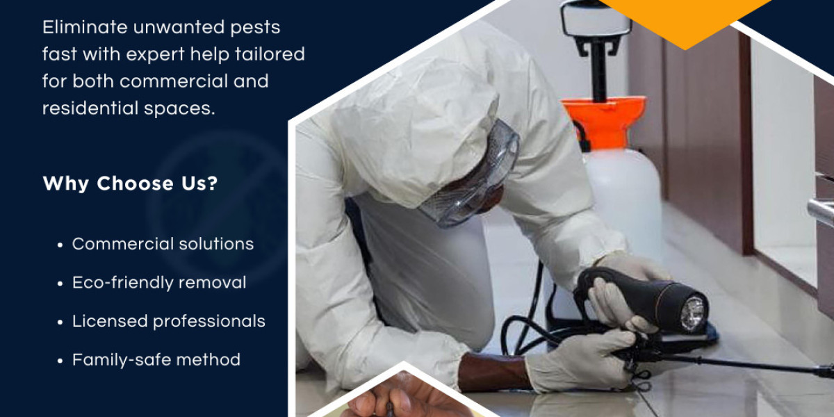 Professional Pest Control Dubai