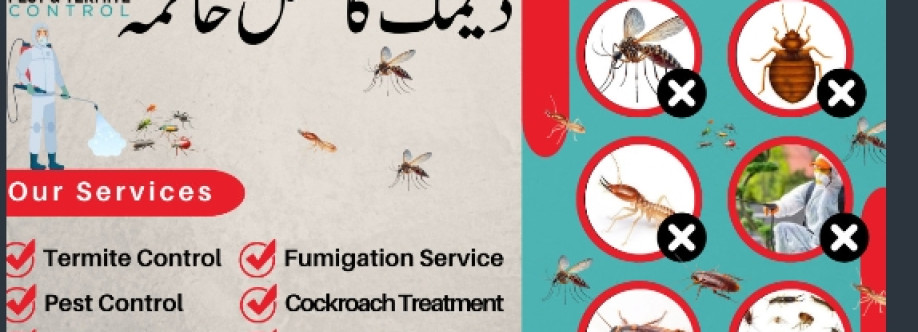 Muha Fizpest Cover Image