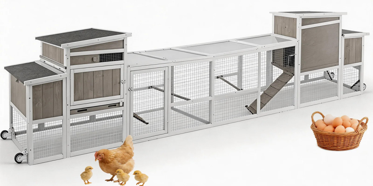 Chicken Coop with Run: Is It the Best Outdoor Housing Solution for Happy and Healthy Backyard Chickens?