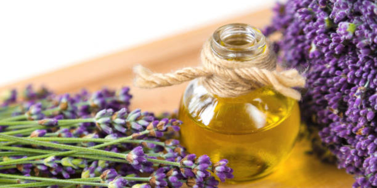 Lavender Oil Manufacturers and Suppliers: A Guide to Quality and Global Sourcing