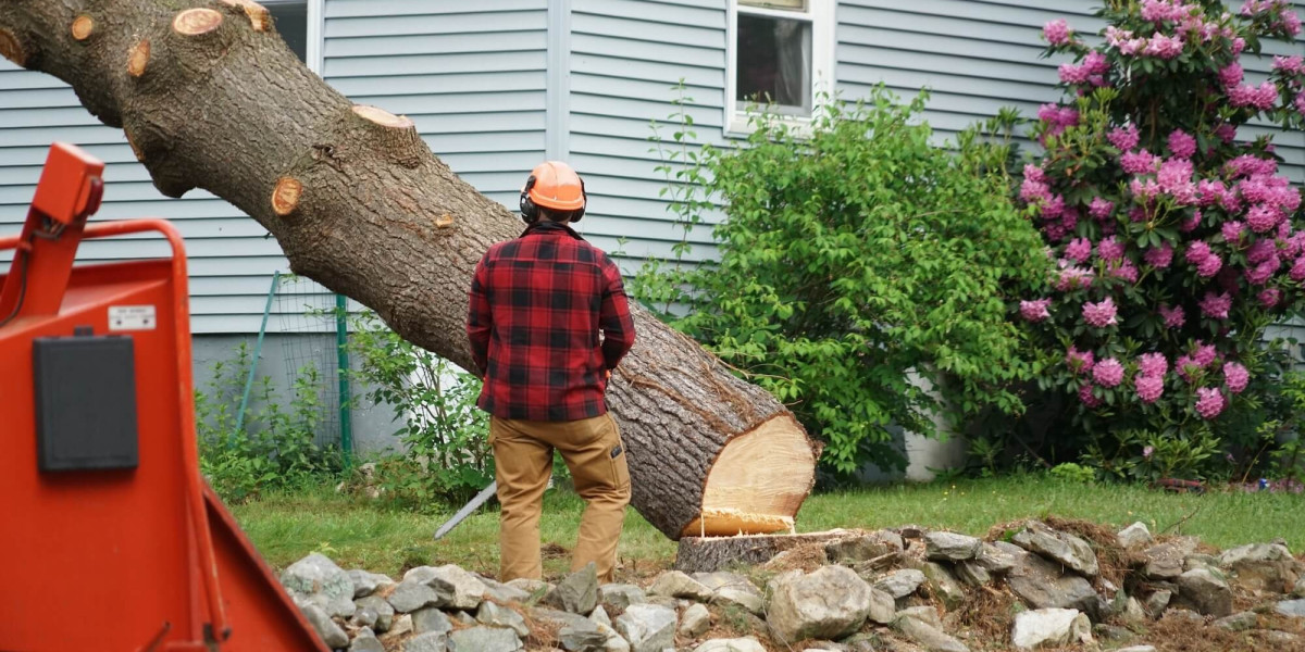 Efficient Tree Removal in Cook County, IL for Property Improvement