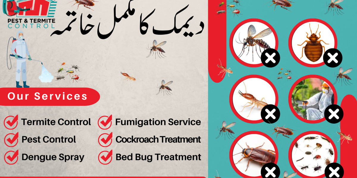 How Do Experts Perform Termite Control Services Step by Step?