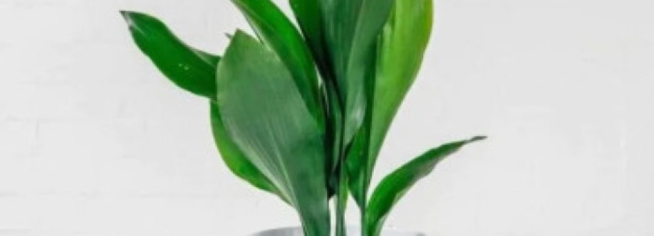 Plants Depot Cover Image