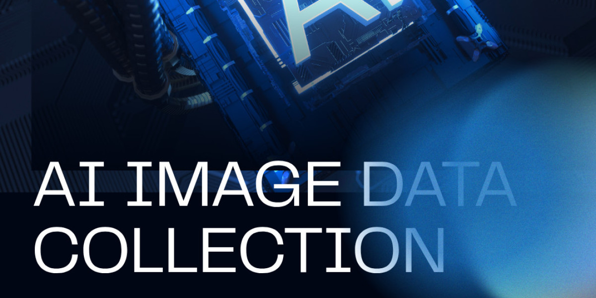 Understanding AI Image Data Collection for Scalable and Intelligent AI Systems  