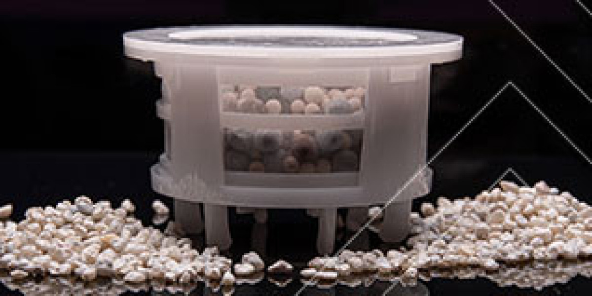 The Rise of Specialty Zeolite Market Future Demand Surges