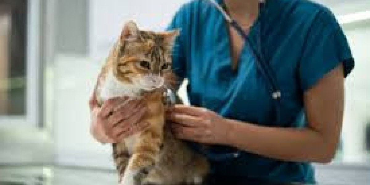 Pet Emergency? Don’t Wait — Why Having a Trusted Emergency Vet Can Save Your Pet’s Life