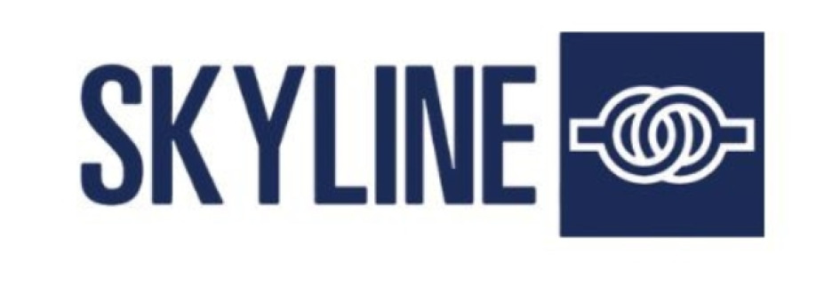 Skyline Group Cover Image