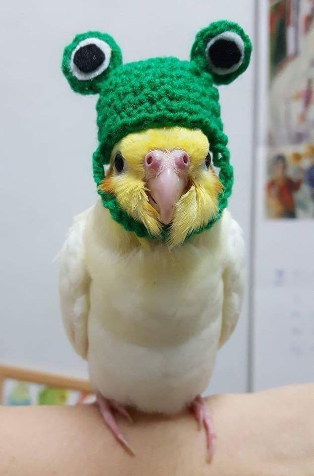User Image