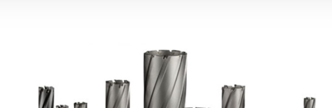 DIC Tools India Cover Image