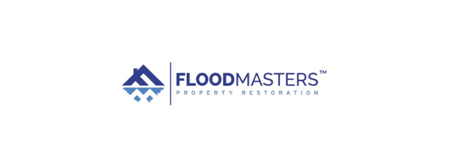 The flood masters Cover Image