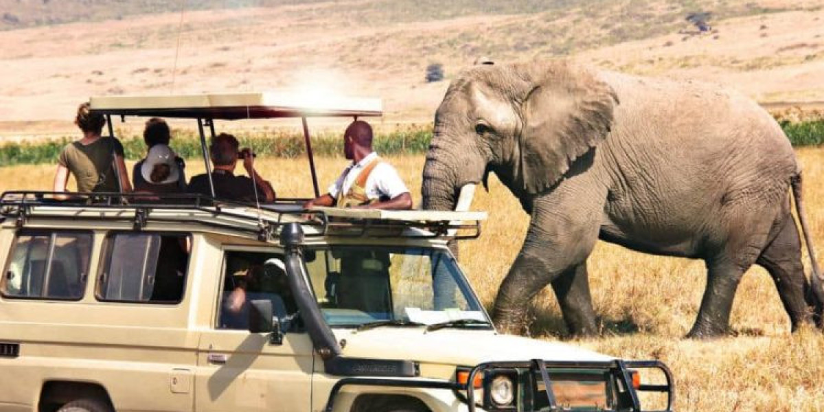 Zanzibar a Tanzania – A Dream Island Escape with Safari Connections