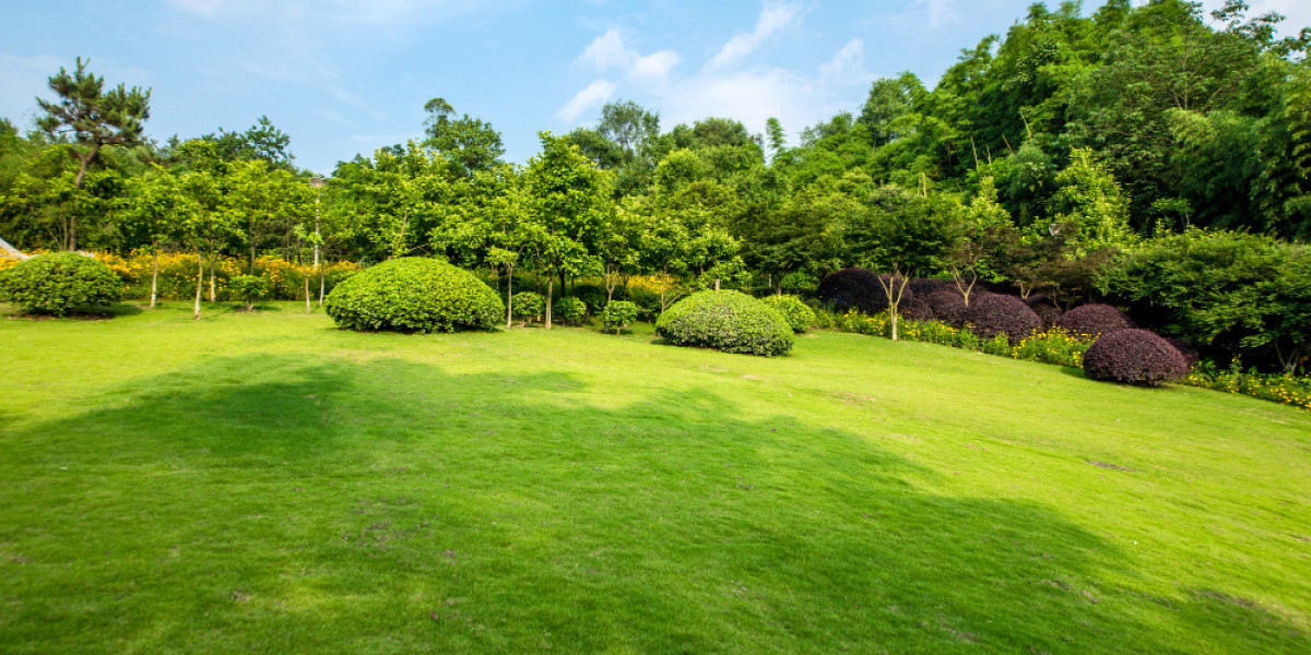 Building a Beautiful Outdoor Space with Smart Lawn and Garden Care