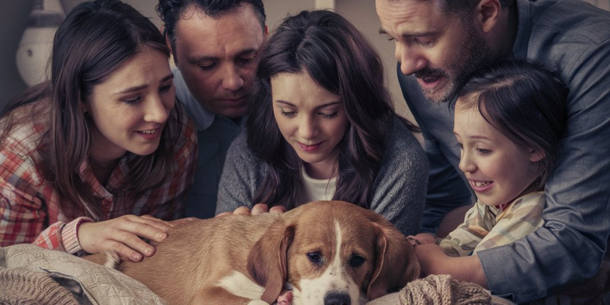 Affordable and Gentle Pet Euthanasia Options for Loving Pet Owners