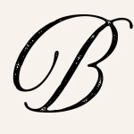 Visit Bugis Profile Picture