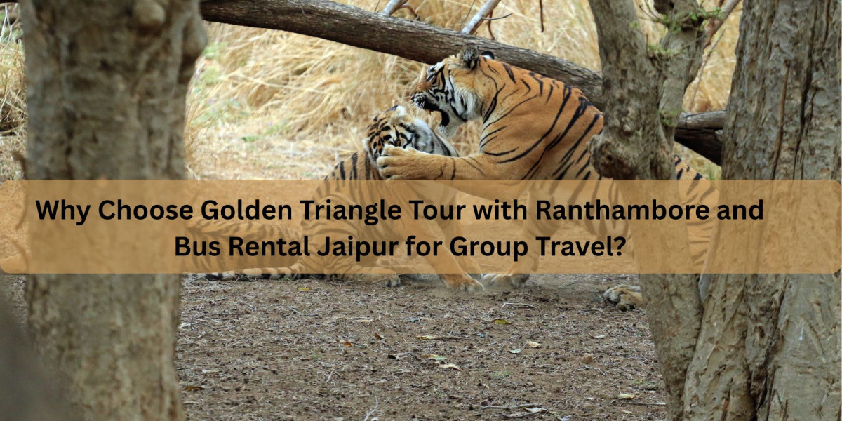 Why Choose Golden Triangle Tour with Ranthambore and Bus Rental Jaipur for Group Travel?