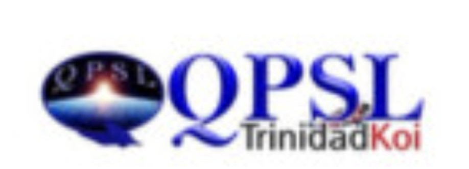 QPSL Ltd Cover Image